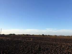 Planting the field