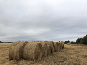 hay bales